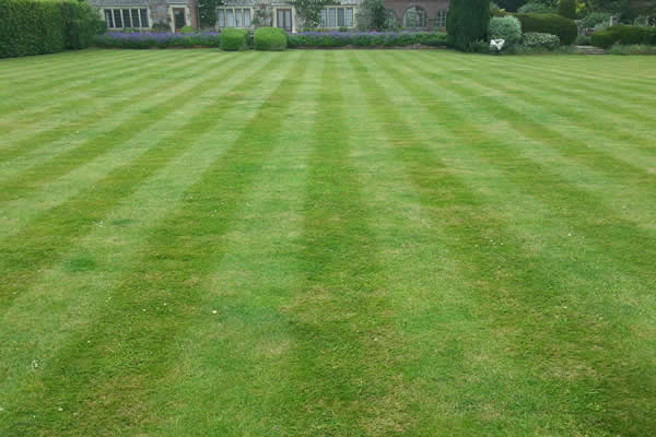 Lawn Turfing Artificial Grass Dorset, Wiltshire and Hampshire