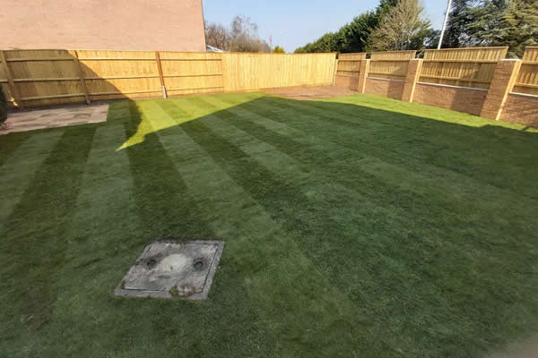 Lawn Turf & Artificial Grass  Dorset, Wiltshire and Hampshire