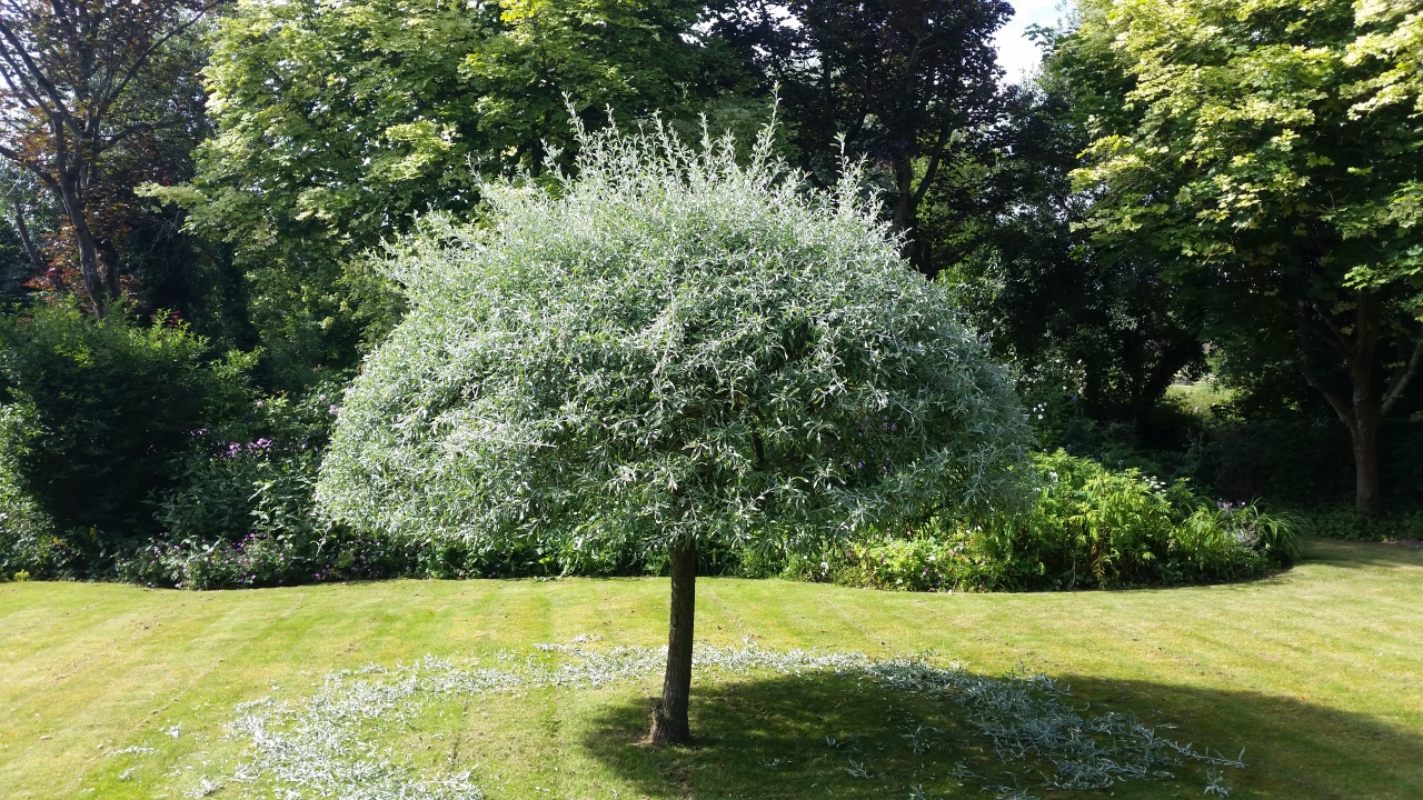 WhatsApp Image 2026-02-27 at 09.19.20